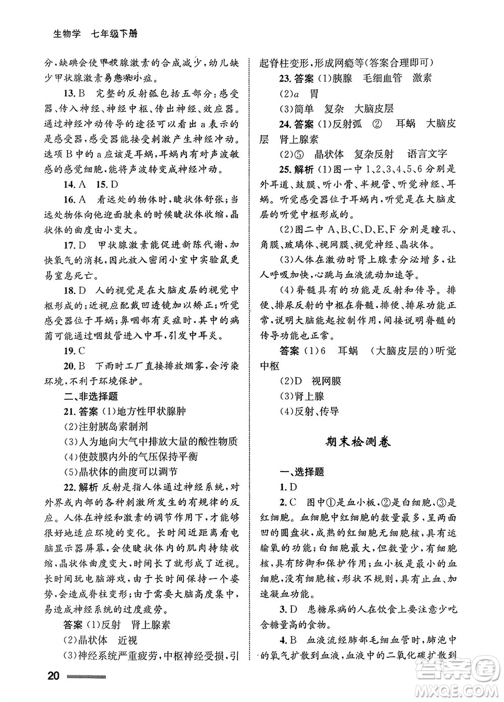 甘肅教育出版社2024年春配套綜合練習七年級生物下冊人教版參考答案