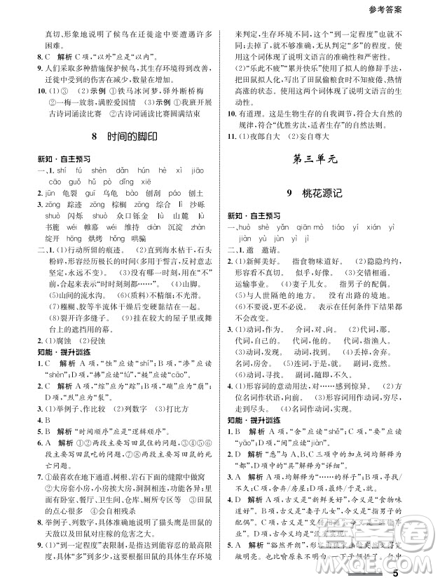 甘肅教育出版社2024年春配套綜合練習(xí)八年級(jí)語(yǔ)文下冊(cè)人教版參考答案