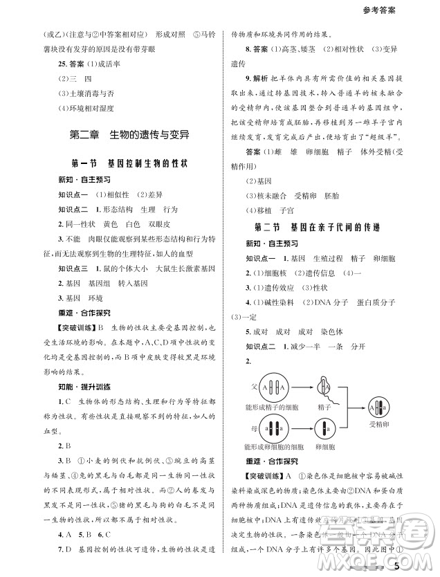 甘肅教育出版社2024年春配套綜合練習八年級生物下冊人教版參考答案