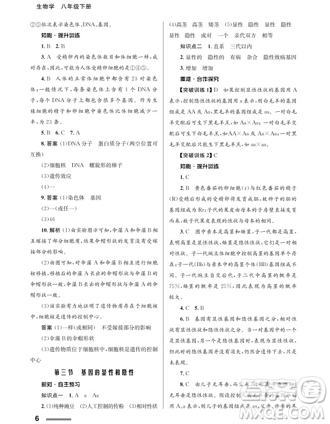 甘肅教育出版社2024年春配套綜合練習八年級生物下冊人教版參考答案