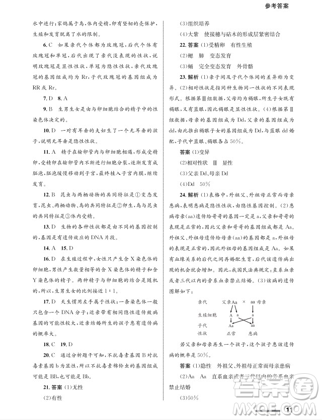 甘肅教育出版社2024年春配套綜合練習八年級生物下冊人教版參考答案