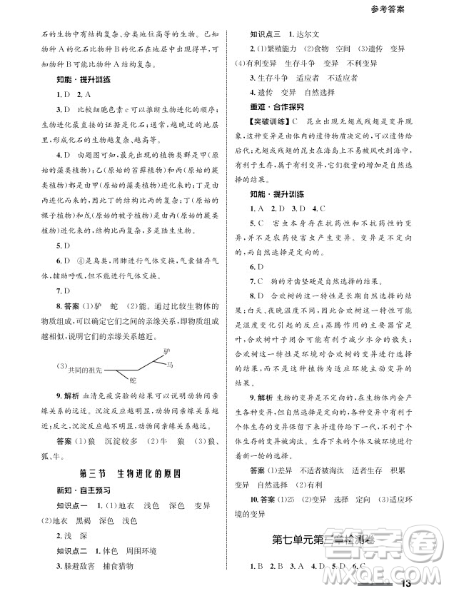 甘肅教育出版社2024年春配套綜合練習八年級生物下冊人教版參考答案