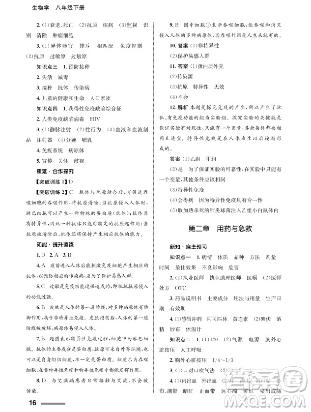 甘肅教育出版社2024年春配套綜合練習八年級生物下冊人教版參考答案