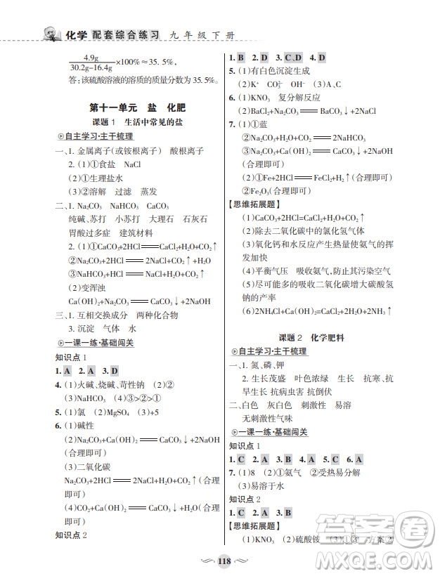 甘肅文化出版社2024年春配套綜合練習九年級化學下冊人教版參考答案