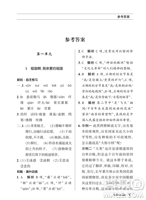 北京師范大學出版社2024年春配套綜合練習九年級語文下冊人教版參考答案