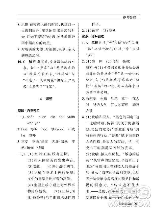 北京師范大學出版社2024年春配套綜合練習九年級語文下冊人教版參考答案