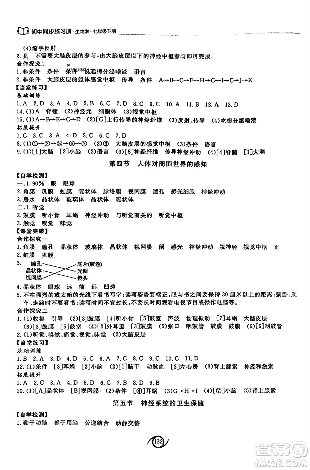 西安出版社2024年春初中同步練習冊七年級生物下冊濟南版參考答案