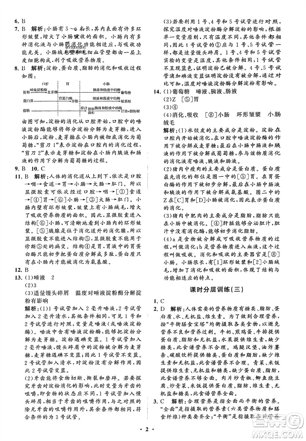 山東教育出版社2024年春初中同步練習(xí)冊(cè)分層卷七年級(jí)生物下冊(cè)通用版參考答案