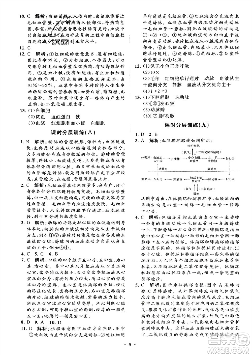 山東教育出版社2024年春初中同步練習(xí)冊(cè)分層卷七年級(jí)生物下冊(cè)通用版參考答案