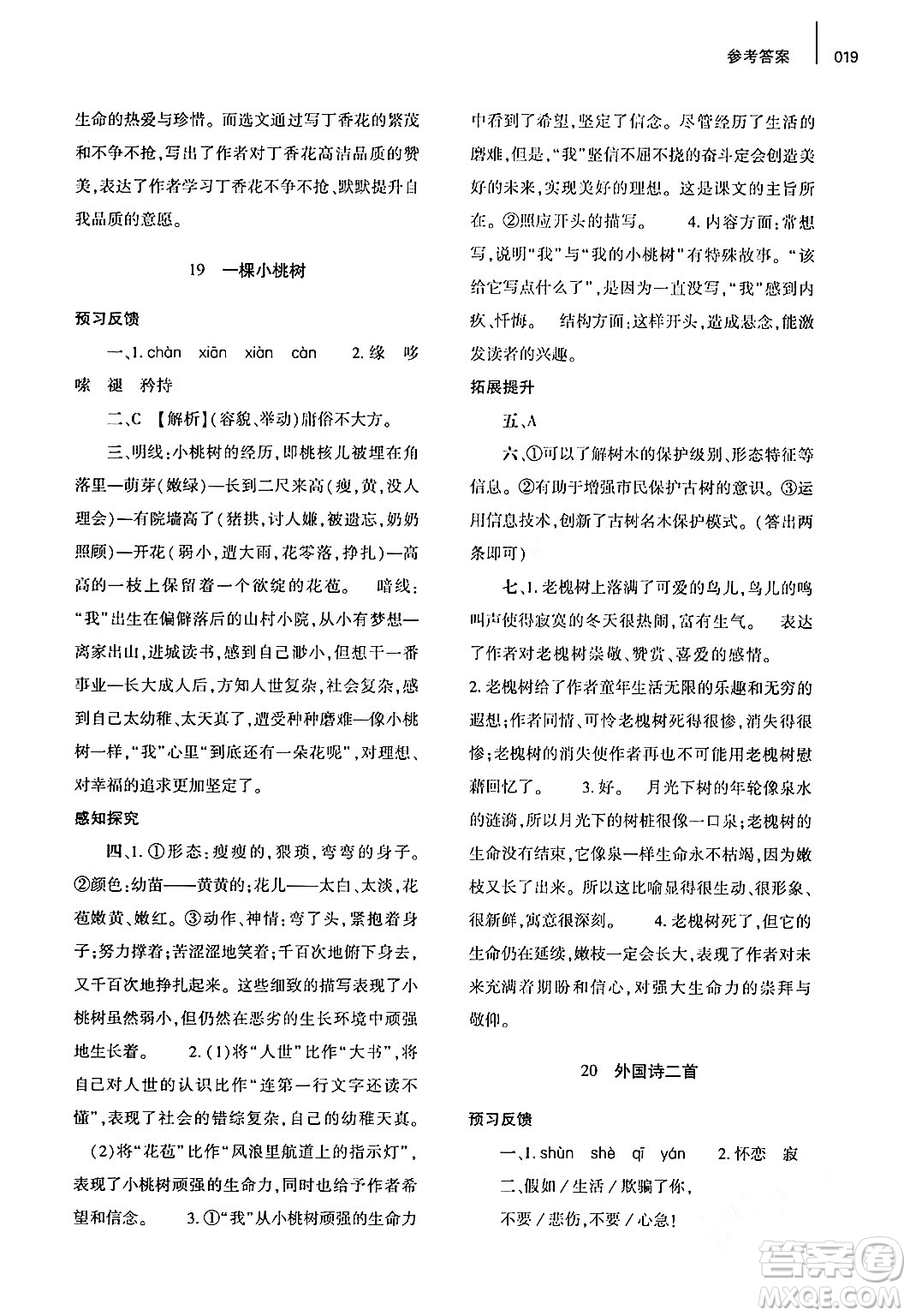 大象出版社2024年春基礎(chǔ)訓(xùn)練七年級(jí)語文下冊(cè)人教版答案