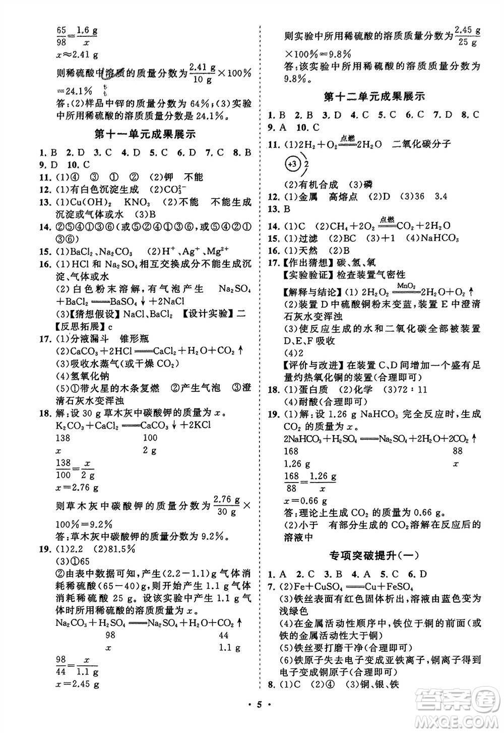 山東教育出版社2024年春初中同步練習(xí)冊分層卷九年級化學(xué)下冊人教版參考答案