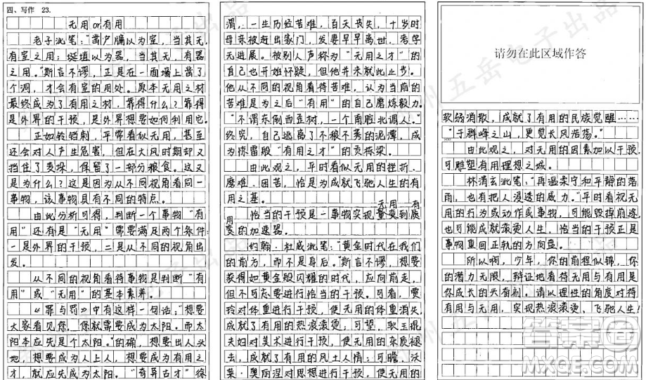 鈴鐺刺材料作文800字 關(guān)于鈴鐺刺的材料作文800字