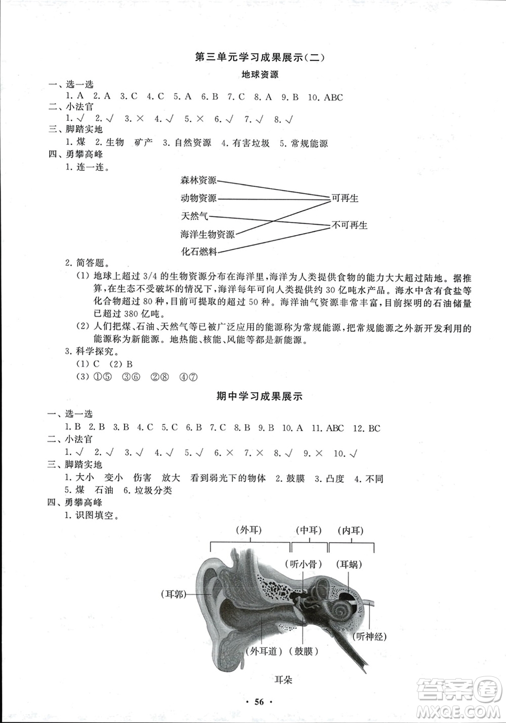 山東教育出版社2024年春小學(xué)同步練習(xí)冊分層指導(dǎo)六年級科學(xué)下冊通用版參考答案