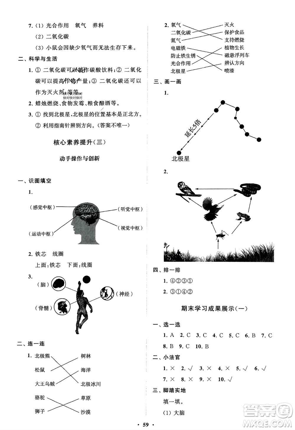 山東教育出版社2024年春小學同步練習冊分層指導五年級科學下冊通用版參考答案