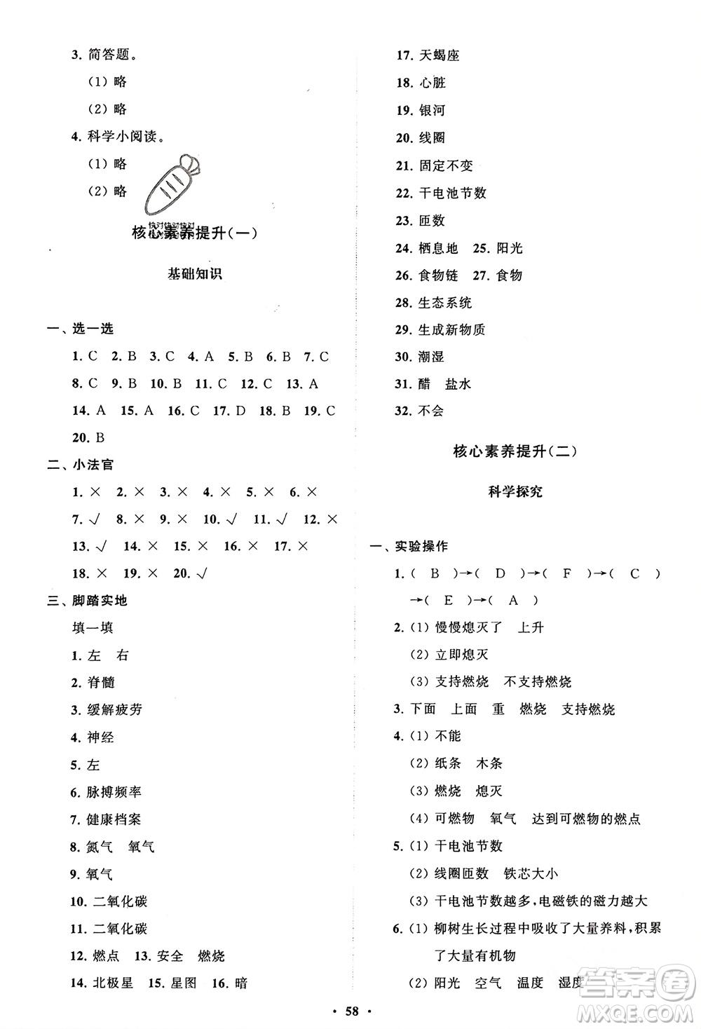 山東教育出版社2024年春小學同步練習冊分層指導五年級科學下冊通用版參考答案