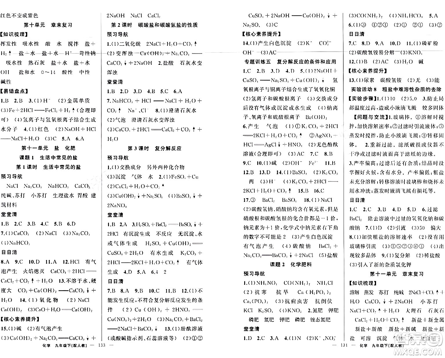 新疆青少年出版社2024年春四清導(dǎo)航九年級(jí)化學(xué)下冊(cè)人教版答案