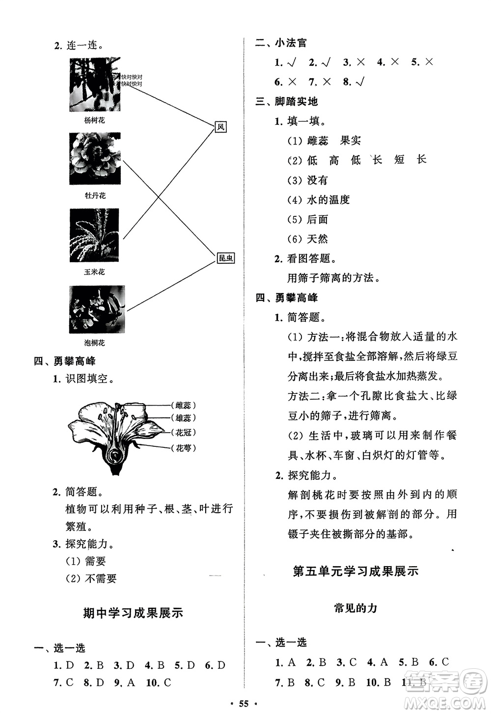 山東教育出版社2024年春小學(xué)同步練習(xí)冊分層指導(dǎo)三年級科學(xué)下冊通用版參考答案