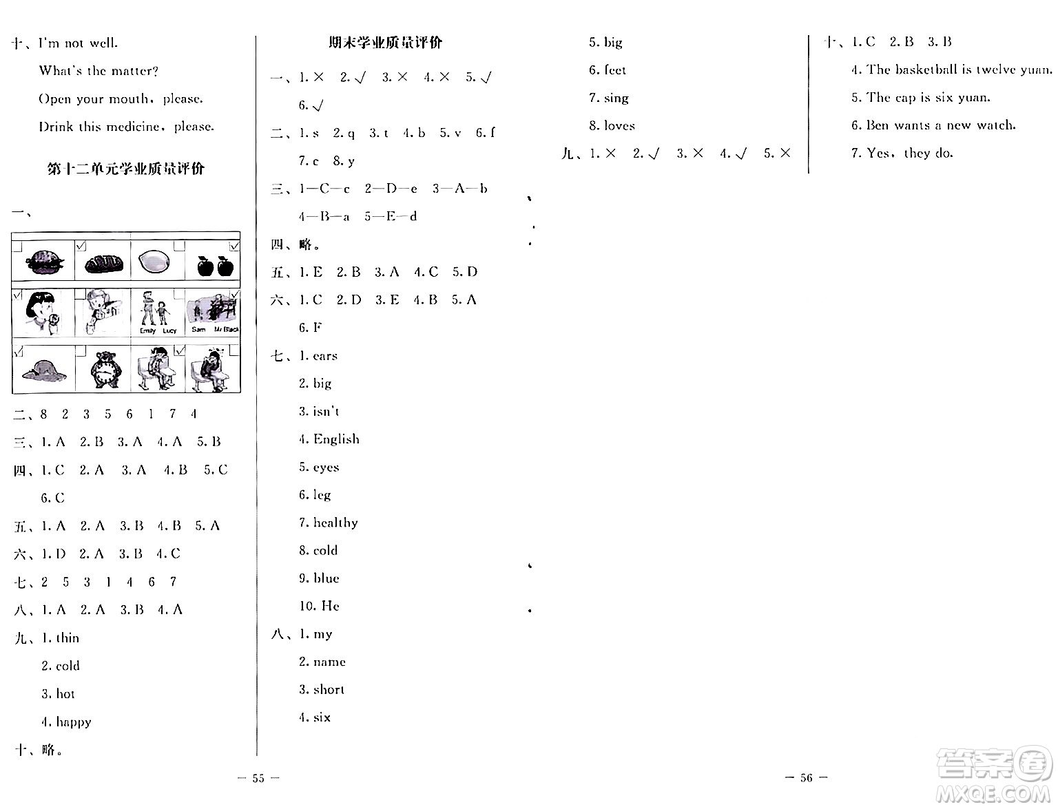 北京師范大學出版社2024年春課堂精練四年級英語下冊北師大版三起點答案