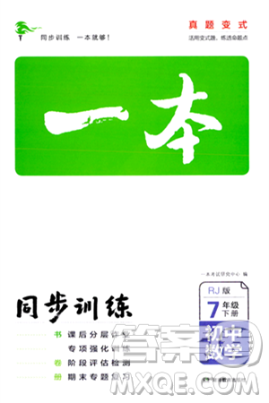 湖南教育出版社2024年春一本同步訓練七年級數(shù)學下冊人教版答案