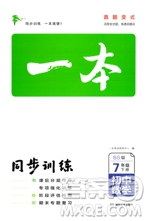 湖南教育出版社2024年春一本同步訓練七年級數學下冊北師大版答案