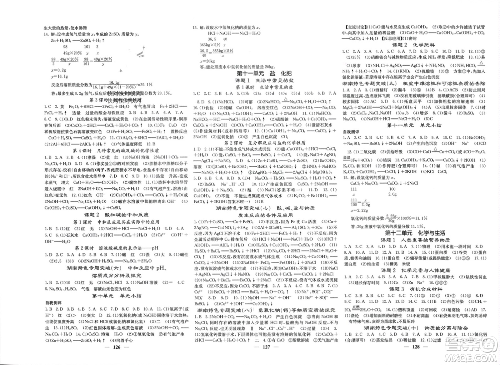 四川大學(xué)出版社2024年春課堂點睛九年級化學(xué)下冊人教版湖南專版參考答案