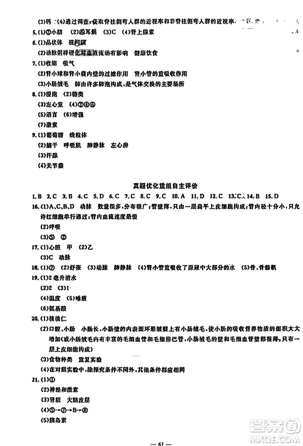 長江少年兒童出版社2024年春智慧課堂自主評價七年級生物下冊通用版參考答案