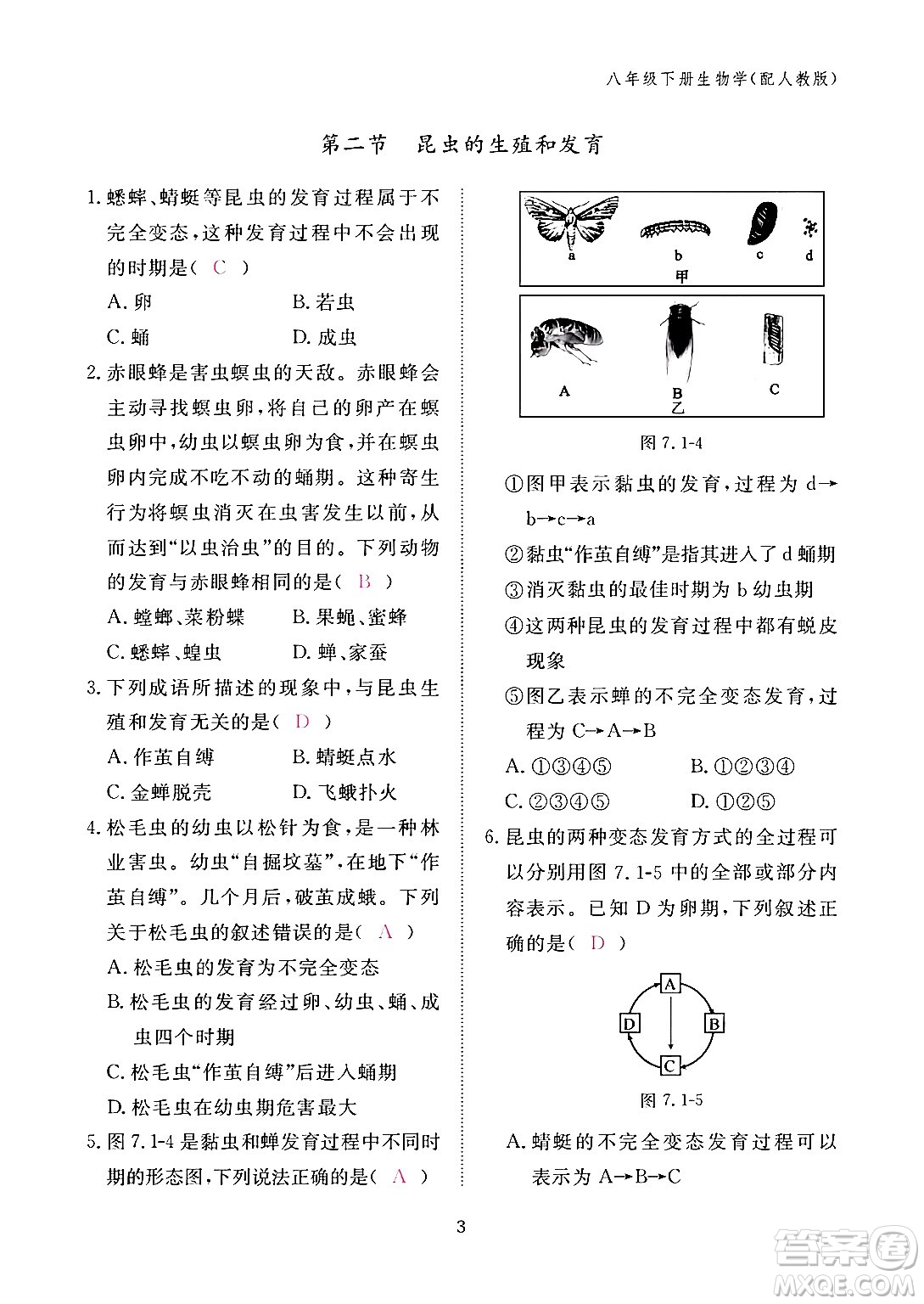 江西教育出版社2024年春生物作業(yè)本八年級生物下冊人教版答案