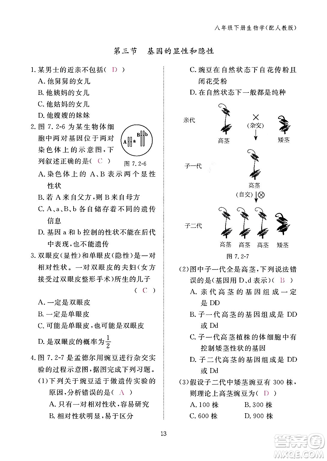 江西教育出版社2024年春生物作業(yè)本八年級生物下冊人教版答案