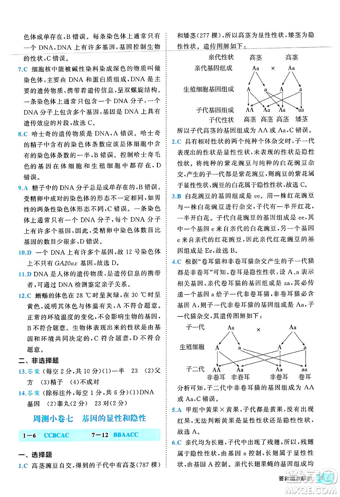 西安出版社2024年春53初中全優(yōu)卷八年級生物下冊人教版答案