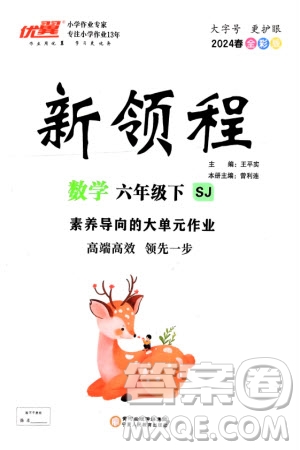 寧夏人民教育出版社2024年春新領(lǐng)程六年級數(shù)學(xué)下冊蘇教版參考答案