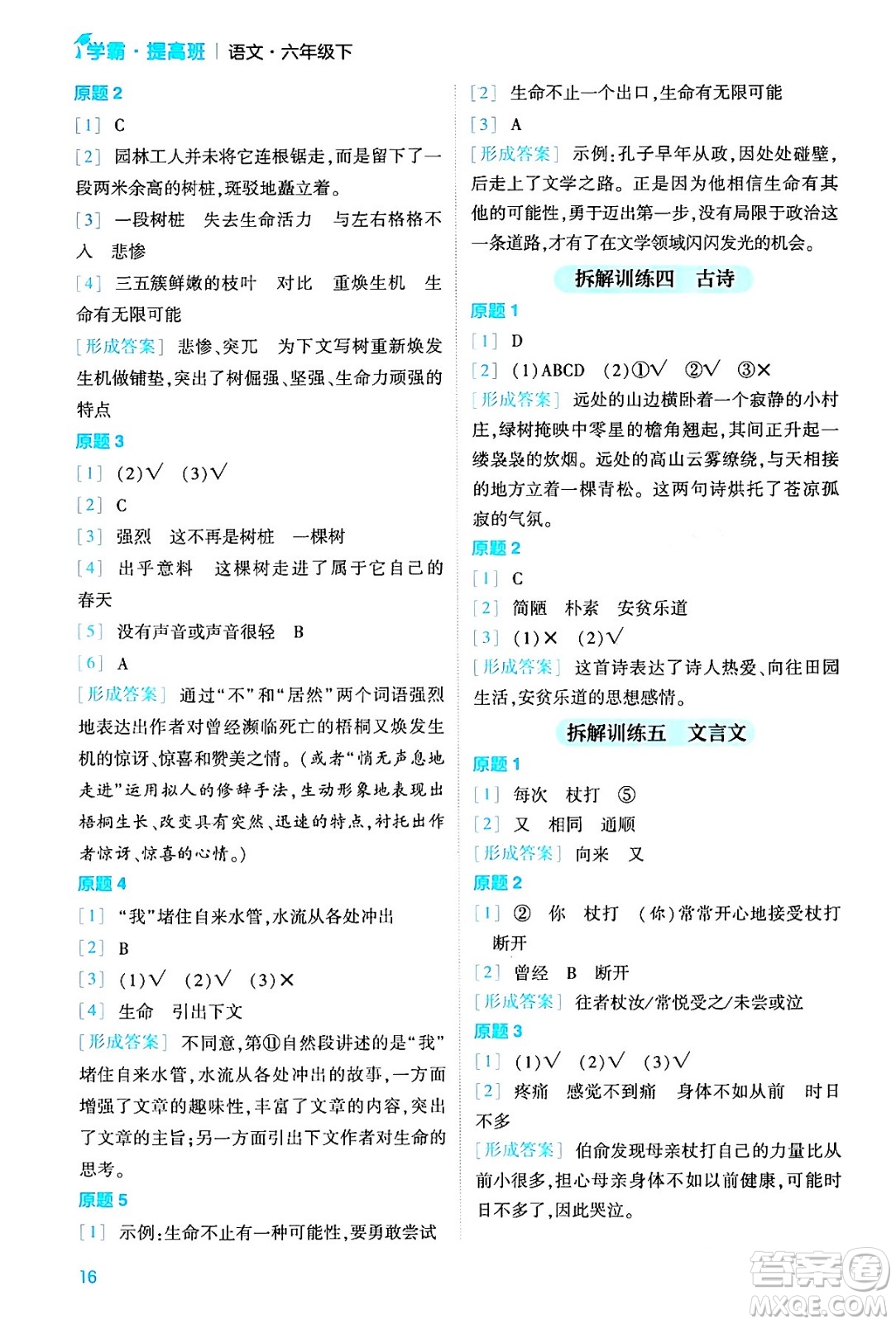 河海大學(xué)出版社2024年春經(jīng)綸學(xué)霸4星學(xué)霸提高班六年級(jí)語(yǔ)文下冊(cè)通用版答案