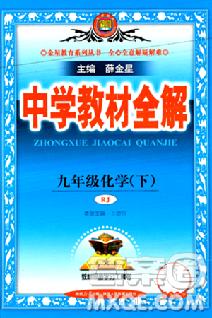 陜西人民教育出版社2024年春中學(xué)教材全解九年級(jí)化學(xué)下冊(cè)人教版答案