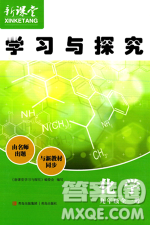 青島出版社2024年春新課堂學習與探究九年級化學下冊通用版答案