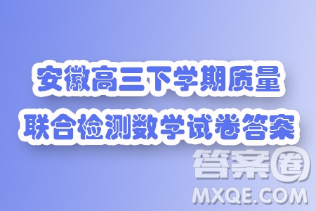 2024屆安徽高三下學(xué)期質(zhì)量聯(lián)合檢測數(shù)學(xué)試卷答案