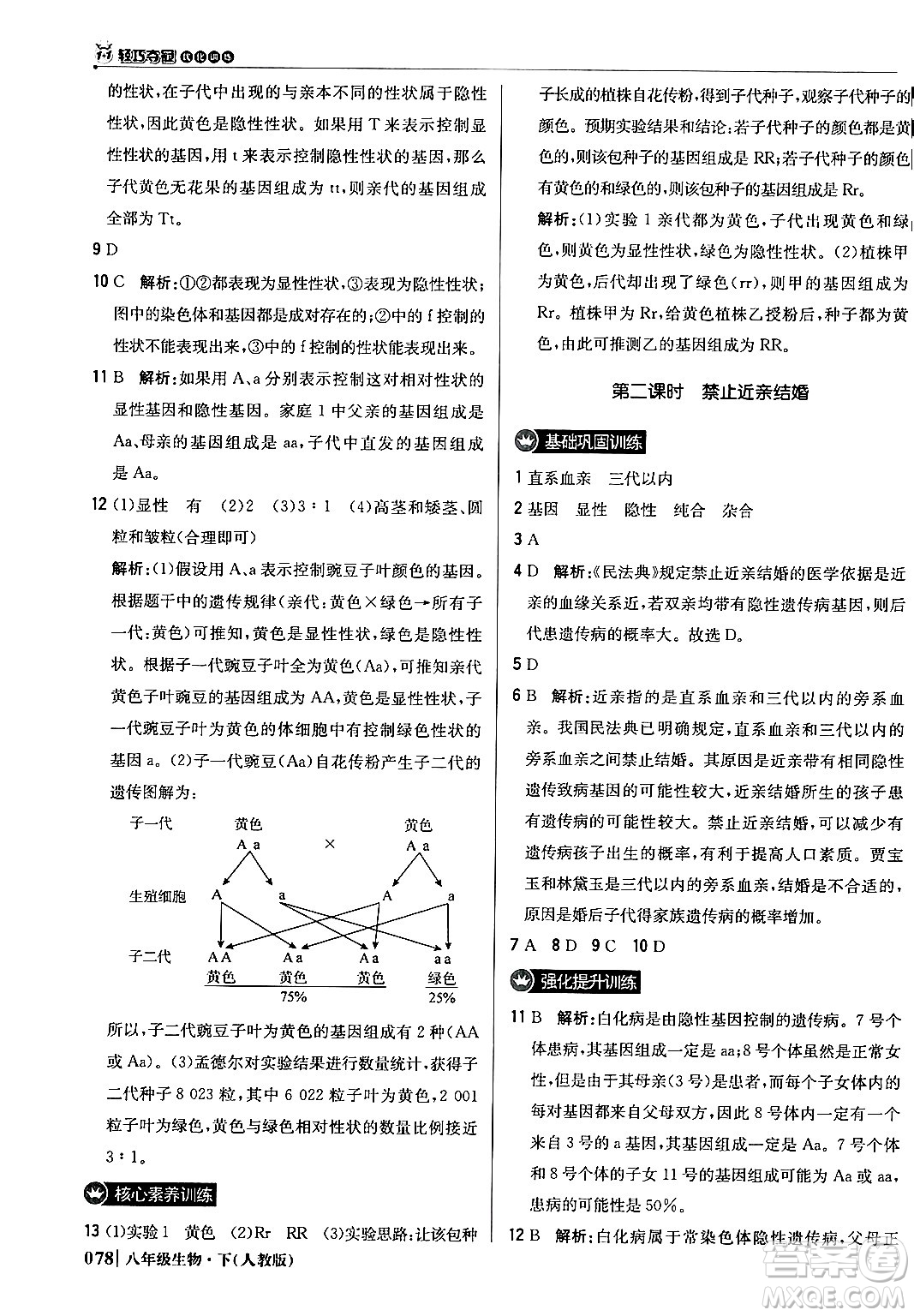 北京教育出版社2024年春1+1輕巧奪冠優(yōu)化訓(xùn)練八年級(jí)生物下冊(cè)人教版答案