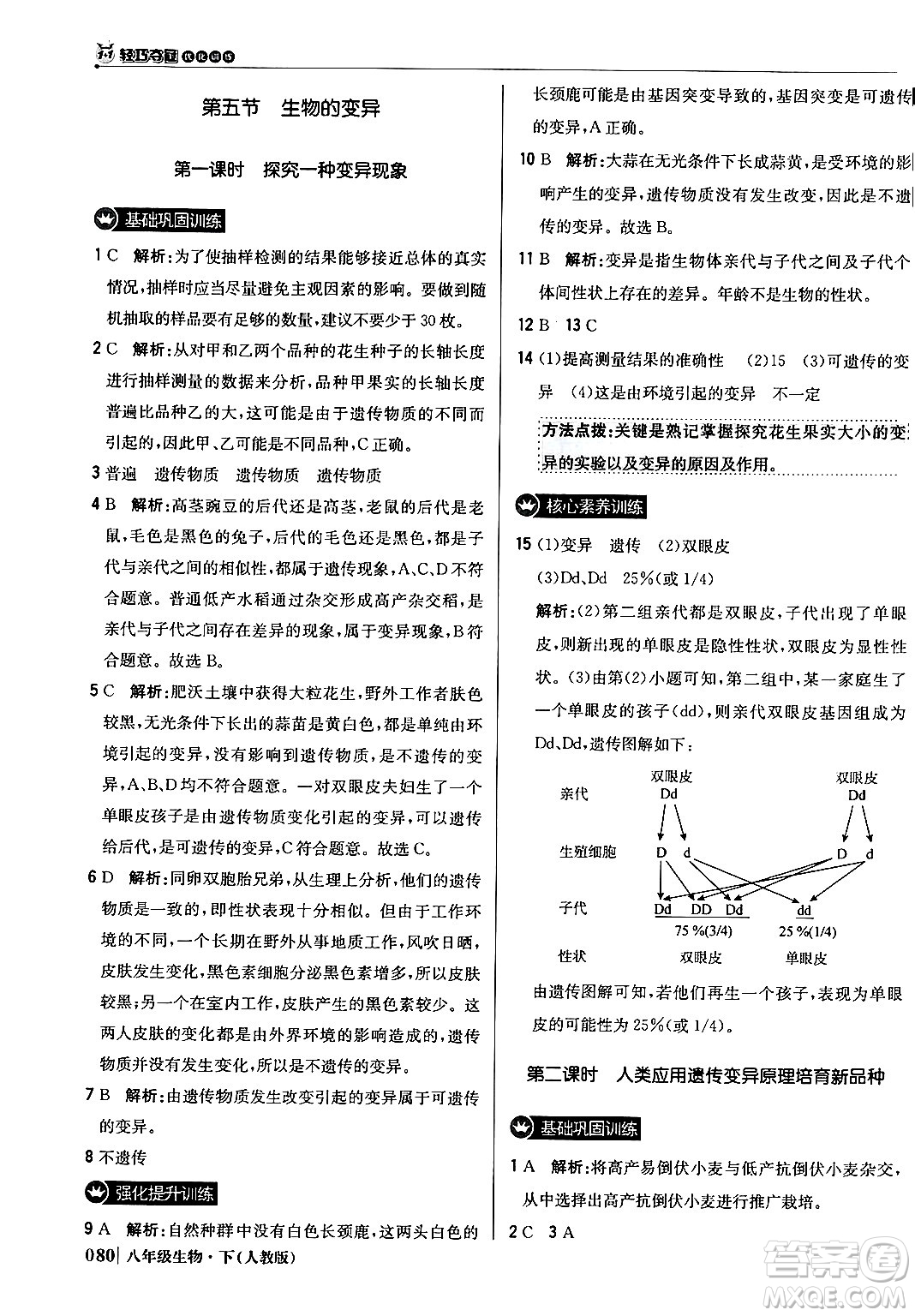 北京教育出版社2024年春1+1輕巧奪冠優(yōu)化訓(xùn)練八年級(jí)生物下冊(cè)人教版答案