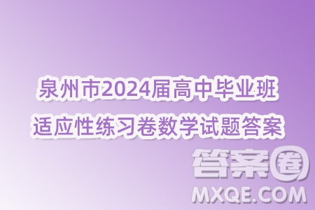 泉州市2024屆高中畢業(yè)班適應性練習卷數(shù)學試題答案