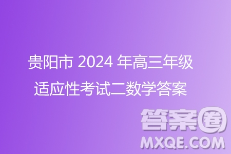 貴陽市2024年高三年級適應(yīng)性考試二數(shù)學答案