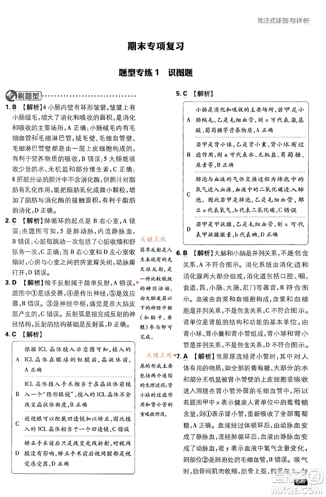 開明出版社2024年春初中必刷題七年級生物下冊人教版答案