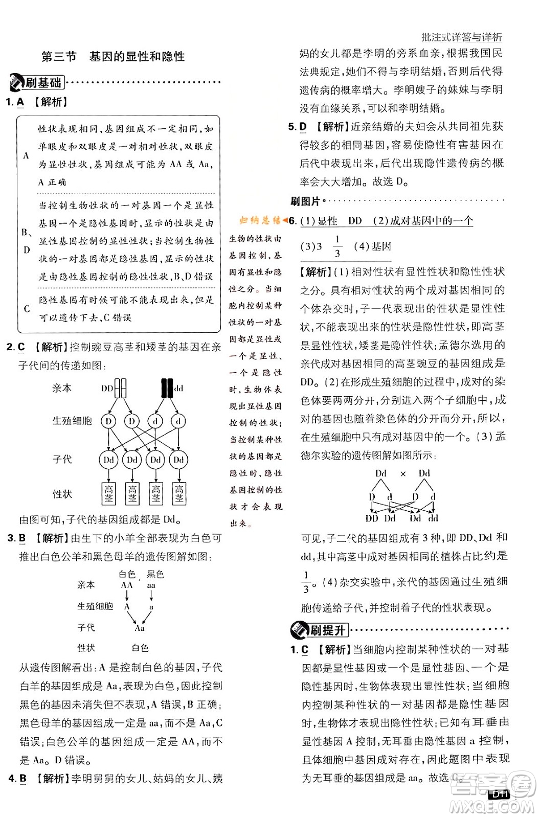 開明出版社2024年春初中必刷題八年級生物下冊人教版答案