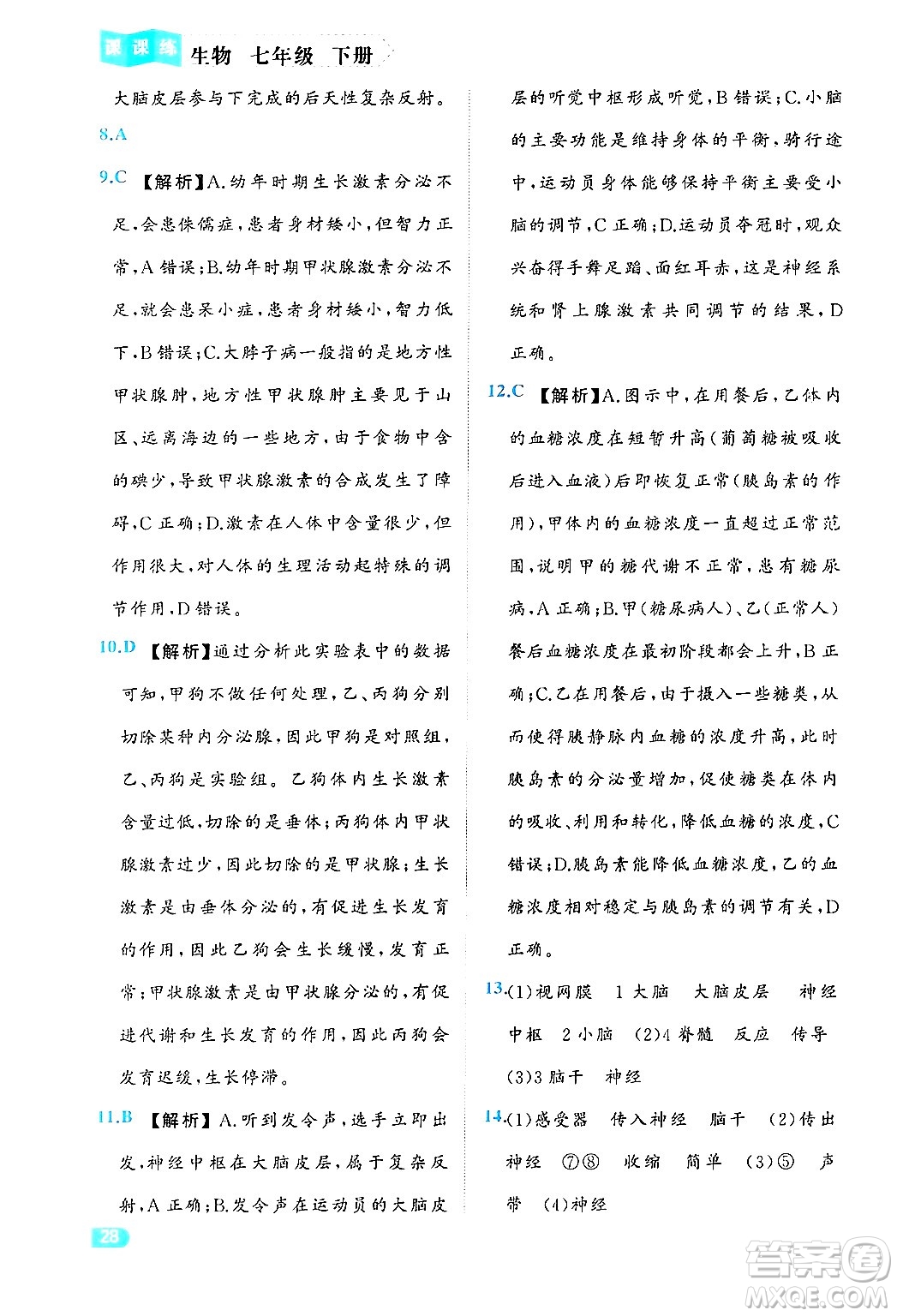 西安出版社2024年春課課練同步訓(xùn)練七年級(jí)生物下冊(cè)人教版答案