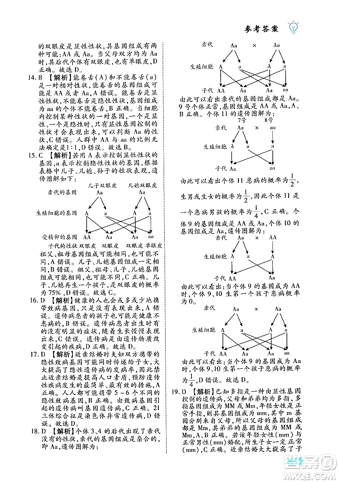 西安出版社2024年春課課練同步訓練八年級生物下冊人教版答案