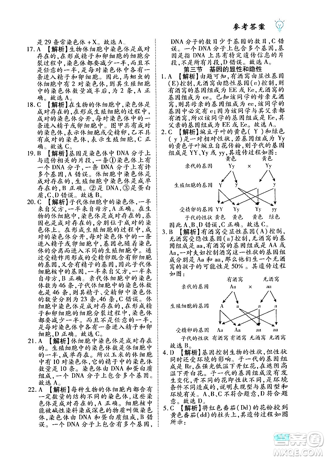 西安出版社2024年春課課練同步訓練八年級生物下冊人教版答案