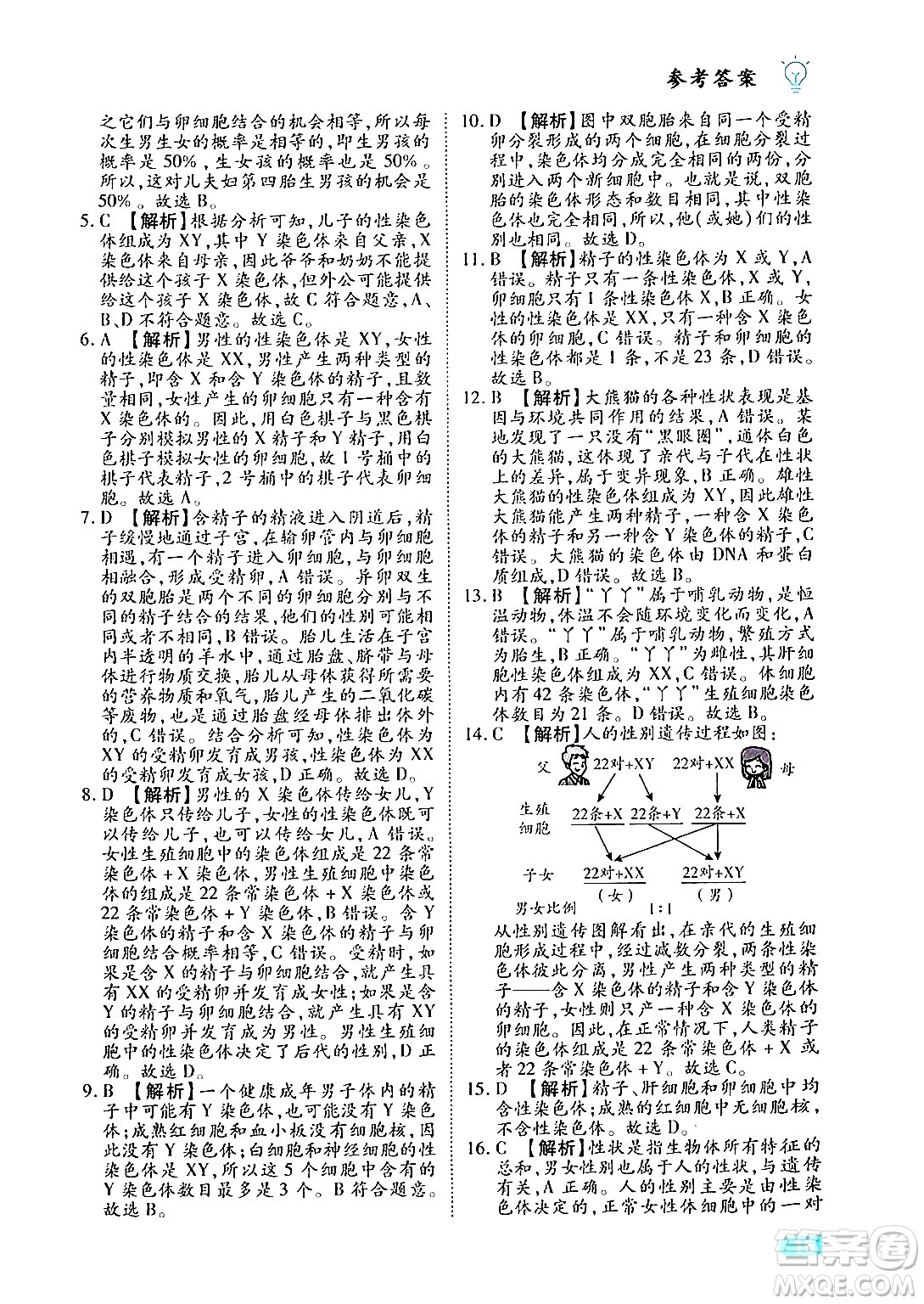 西安出版社2024年春課課練同步訓練八年級生物下冊人教版答案