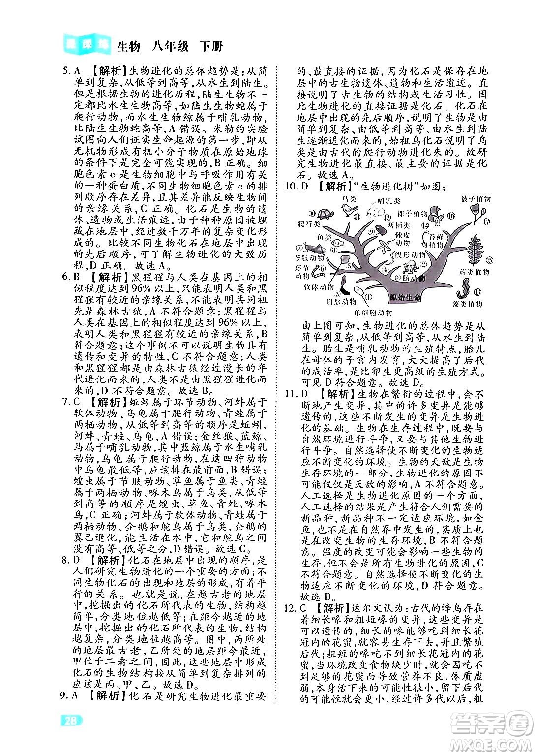 西安出版社2024年春課課練同步訓練八年級生物下冊人教版答案