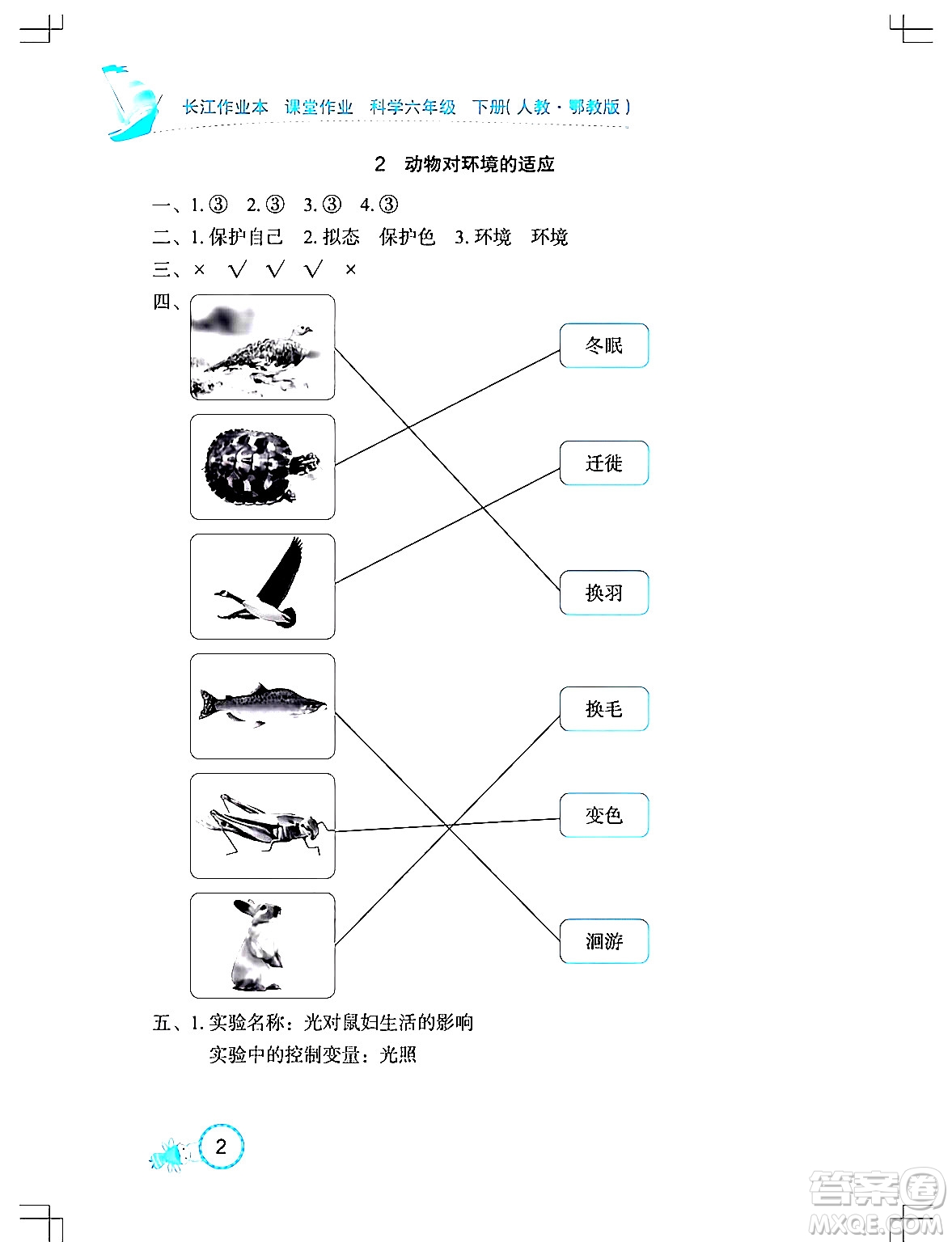 湖北教育出版社2024年春長江作業(yè)本課堂作業(yè)六年級科學下冊人教鄂教版答案