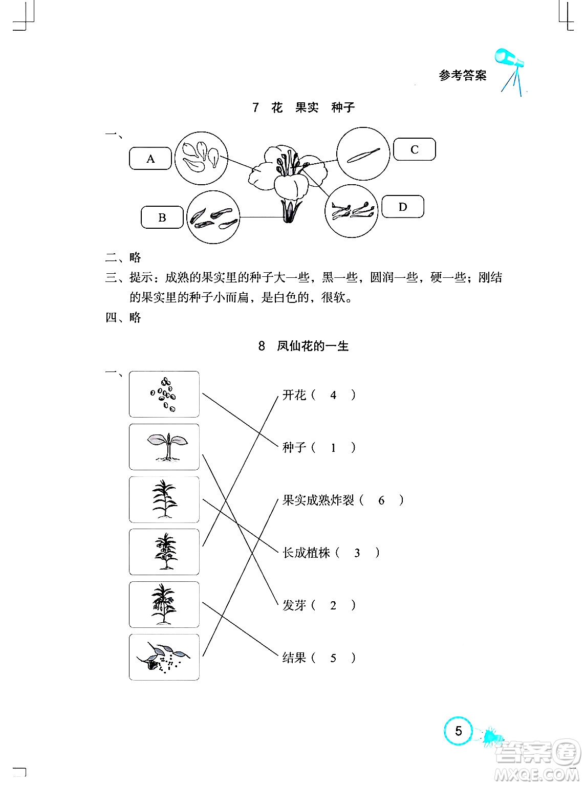 湖北教育出版社2024年春長江作業(yè)本課堂作業(yè)三年級科學下冊人教鄂教版答案