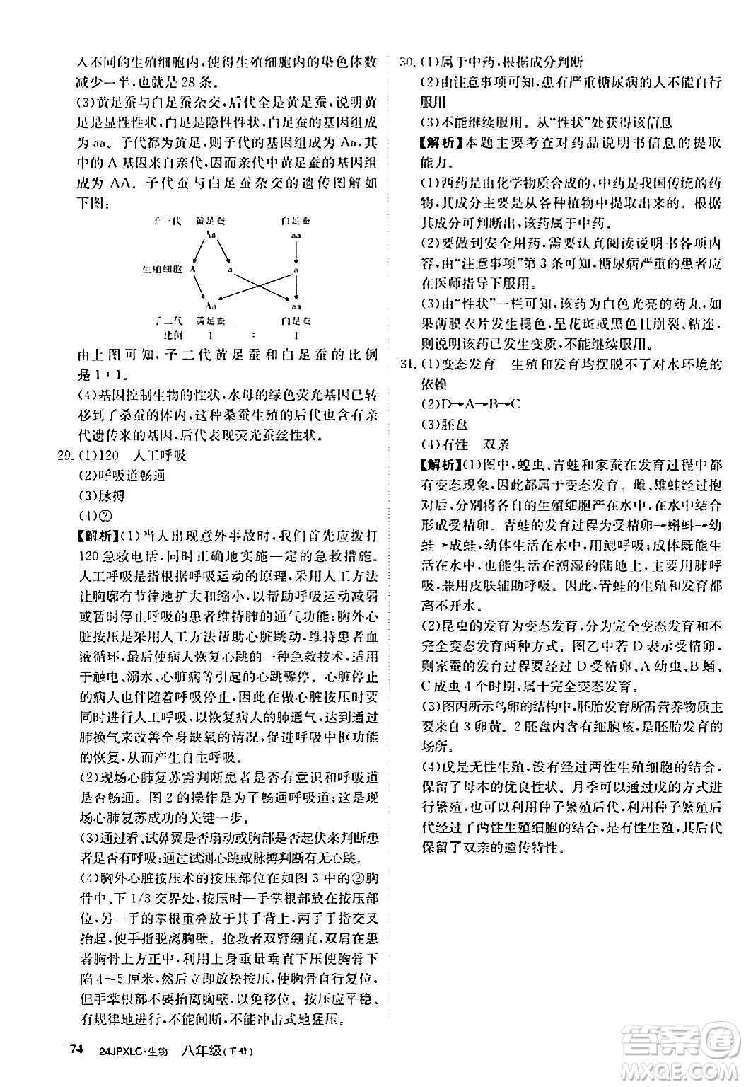 江西高校出版社2024年春金牌學(xué)練測創(chuàng)新作業(yè)設(shè)計(jì)八年級生物下冊課標(biāo)版答案