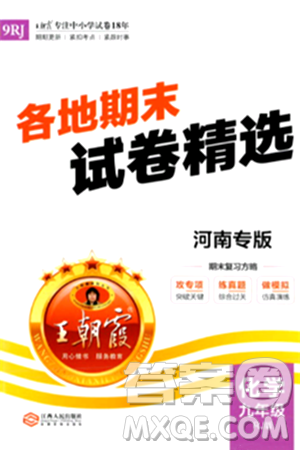 江西人民出版社2024年春王朝霞各地期末試卷精選九年級化學(xué)下冊人教版河南專版答案