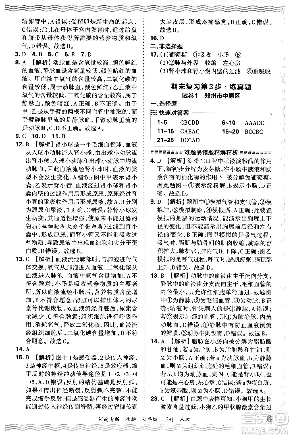 江西人民出版社2024年春王朝霞各地期末試卷精選七年級生物下冊人教版河南專版答案